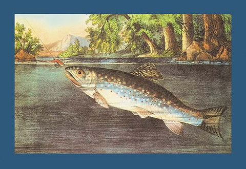 Whisper please, Image is sleeping.