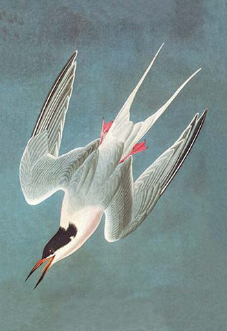 Whisper please, Image is sleeping.