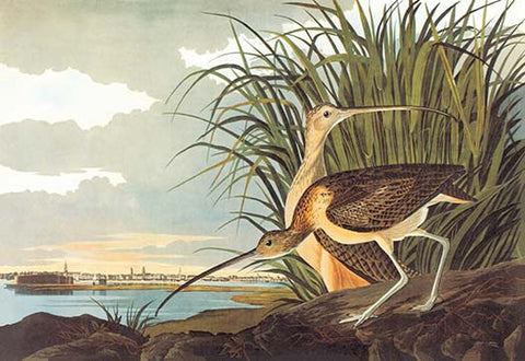 Whisper please, Image is sleeping.