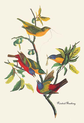 Whisper please, Image is sleeping.