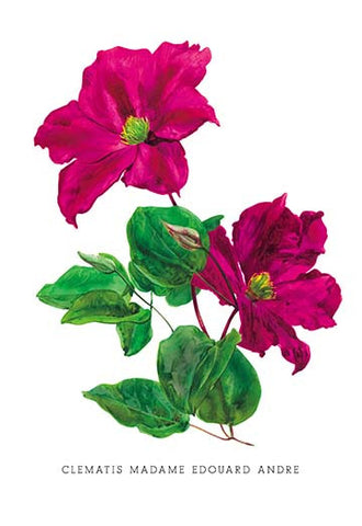 Whisper please, Image is sleeping.