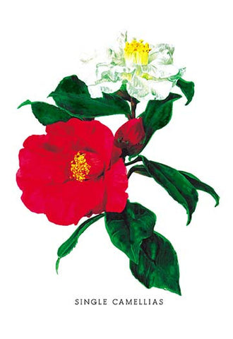 Whisper please, Image is sleeping.