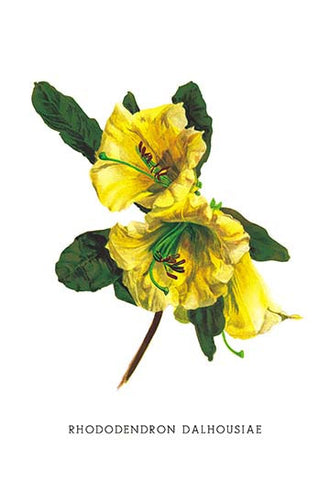 Whisper please, Image is sleeping.