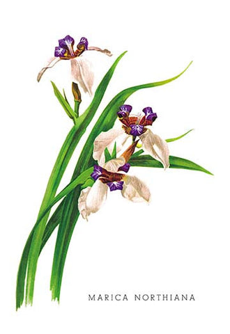 Whisper please, Image is sleeping.