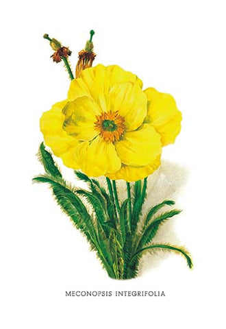 Whisper please, Image is sleeping.