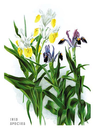 Whisper please, Image is sleeping.