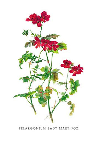 Whisper please, Image is sleeping.