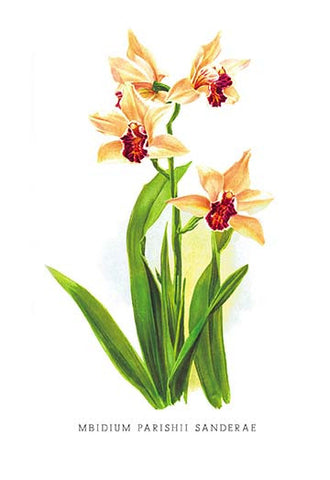 Whisper please, Image is sleeping.