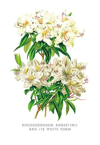 Whisper please, Image is sleeping.