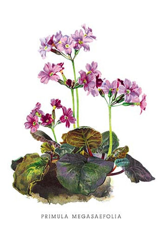 Whisper please, Image is sleeping.