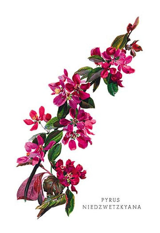 Whisper please, Image is sleeping.