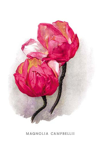 Whisper please, Image is sleeping.