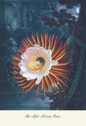 Whisper please, Image is sleeping.