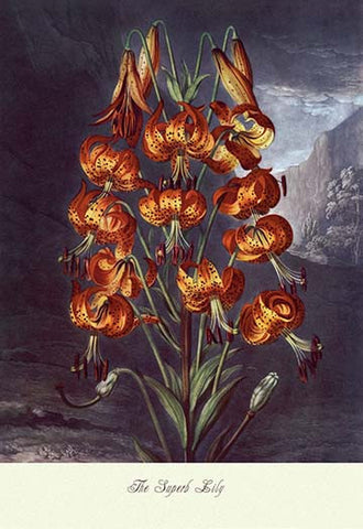 Whisper please, Image is sleeping.