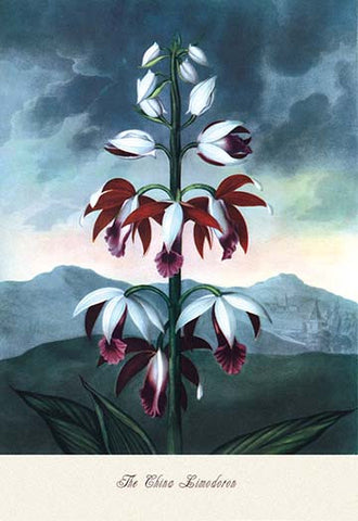 Whisper please, Image is sleeping.