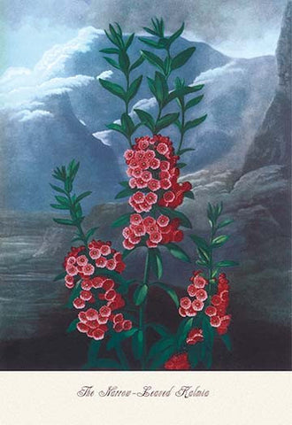 Whisper please, Image is sleeping.