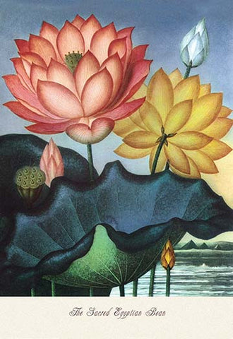 Whisper please, Image is sleeping.