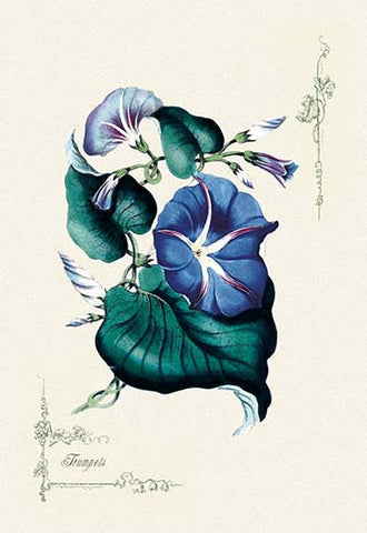 Whisper please, Image is sleeping.