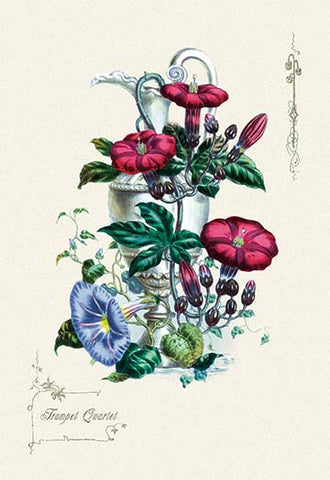 Whisper please, Image is sleeping.