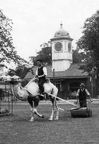 Whisper please, Image is sleeping.