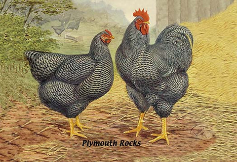 Whisper please, Image is sleeping.