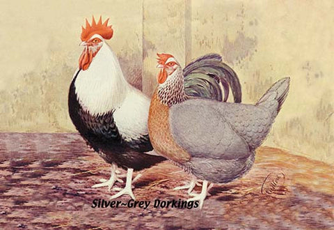 Whisper please, Image is sleeping.