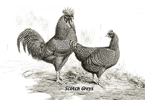 Whisper please, Image is sleeping.