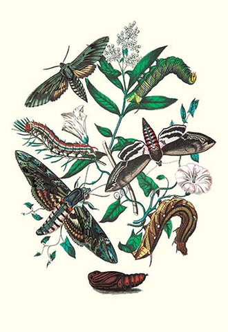 Whisper please, Image is sleeping.