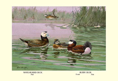 Whisper please, Image is sleeping.