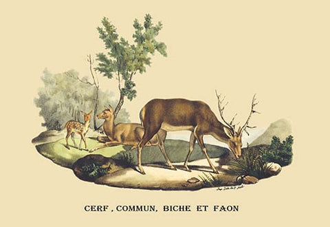 Whisper please, Image is sleeping.