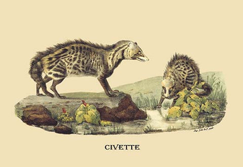 Whisper please, Image is sleeping.