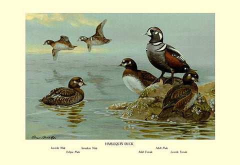 Whisper please, Image is sleeping.