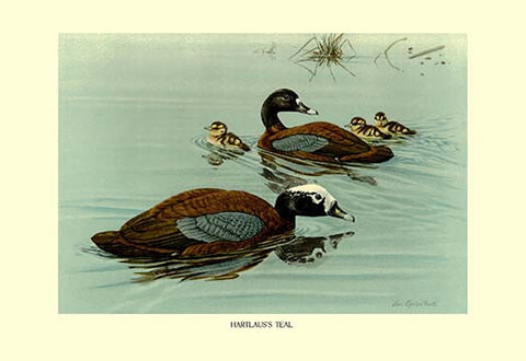 Whisper please, Image is sleeping.