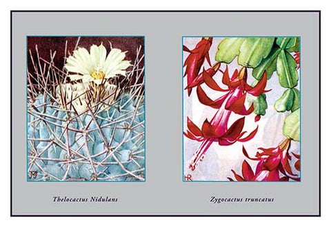 Whisper please, Image is sleeping.