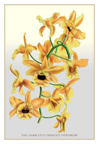 Whisper please, Image is sleeping.