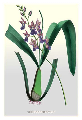 Whisper please, Image is sleeping.