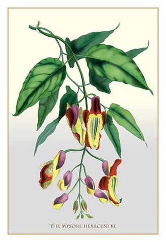 Whisper please, Image is sleeping.