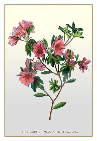 Whisper please, Image is sleeping.