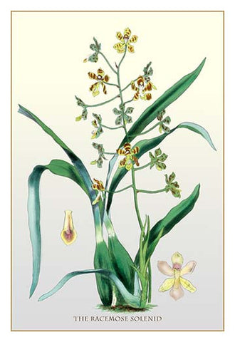 Whisper please, Image is sleeping.