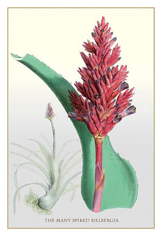 Whisper please, Image is sleeping.