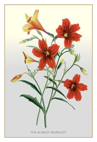 Whisper please, Image is sleeping.