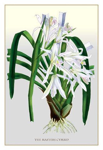 Whisper please, Image is sleeping.