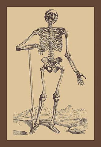 Whisper please, Image is sleeping.