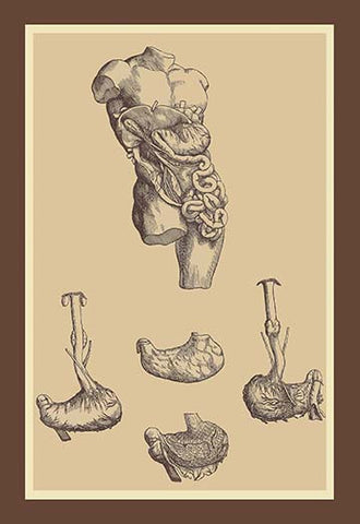 Whisper please, Image is sleeping.