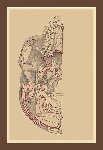 Whisper please, Image is sleeping.