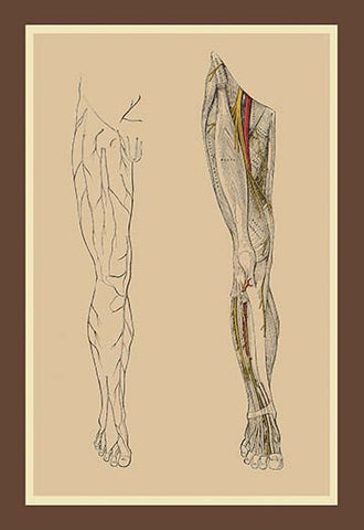 Whisper please, Image is sleeping.