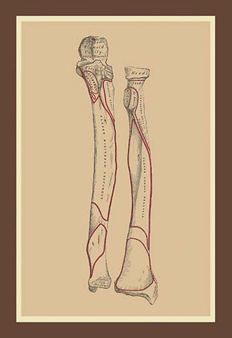 Whisper please, Image is sleeping.