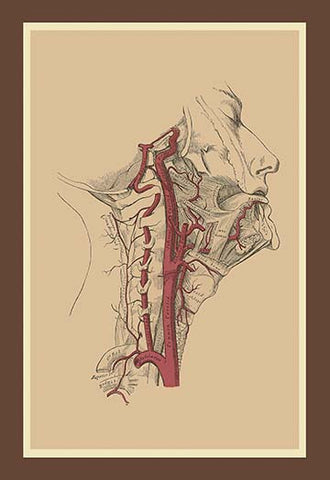 Whisper please, Image is sleeping.