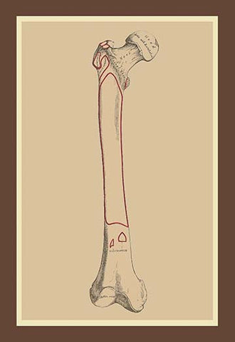 Whisper please, Image is sleeping.