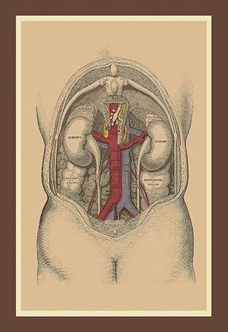 Whisper please, Image is sleeping.